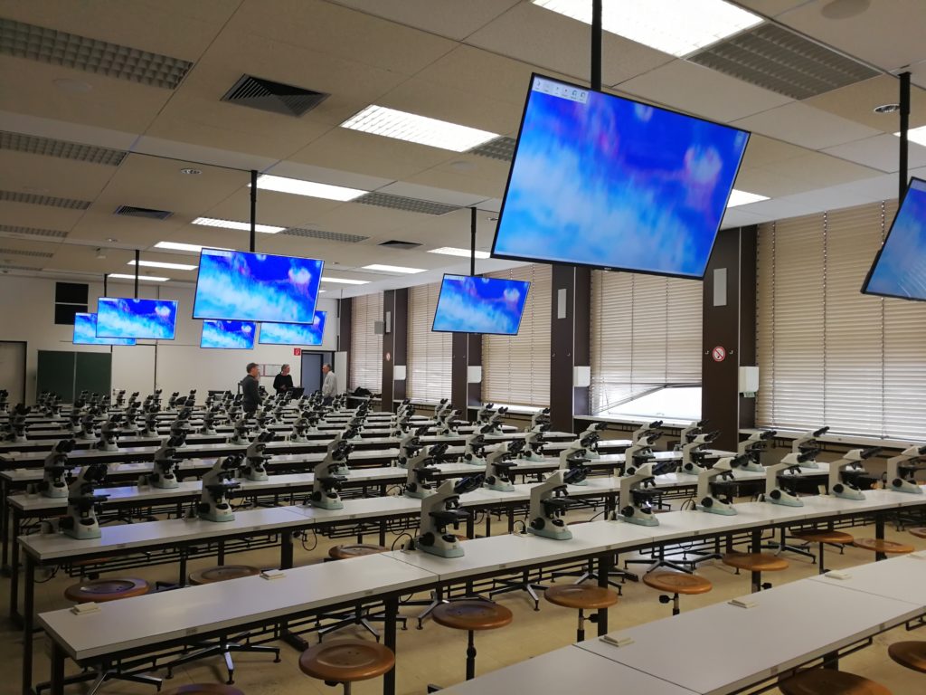 Universitäts-Lehrsaal Lösung mit Screens mit Deckenmontage